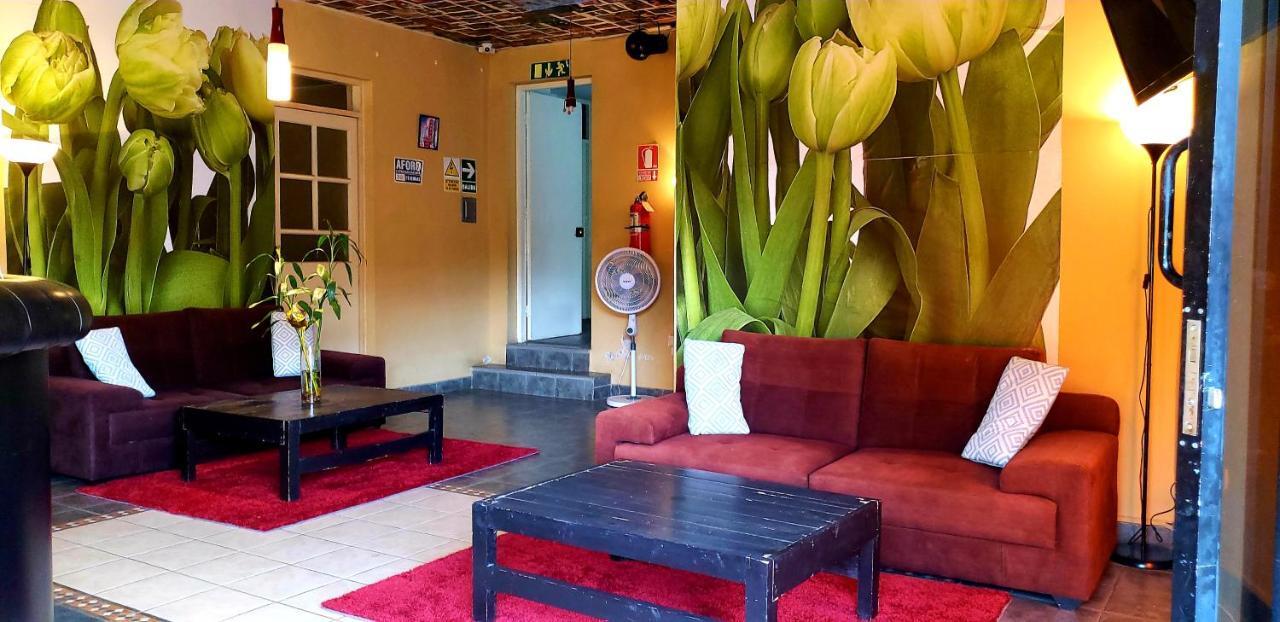 איקה Hotel Ollanta מראה חיצוני תמונה